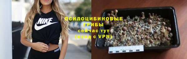 дурь Белая Холуница