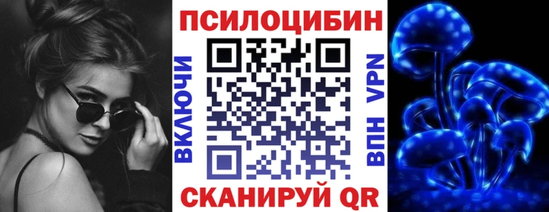 купить наркотик  Зея  Псилоцибиновые грибы Psilocybe 